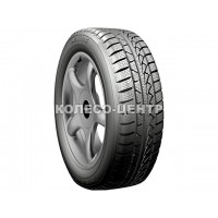 Petlas Snowmaster W651 195/55 R15 85H