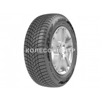 Otani WE-1000 215/65 R16 102H XL