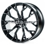 WS-095C