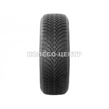 Waterfall Snow Hill 205/60 R16 96V XL