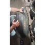 Michelin e.Primacy 245/45 R19 102V Демо 0 мм Колесо-Центр Запоріжжя