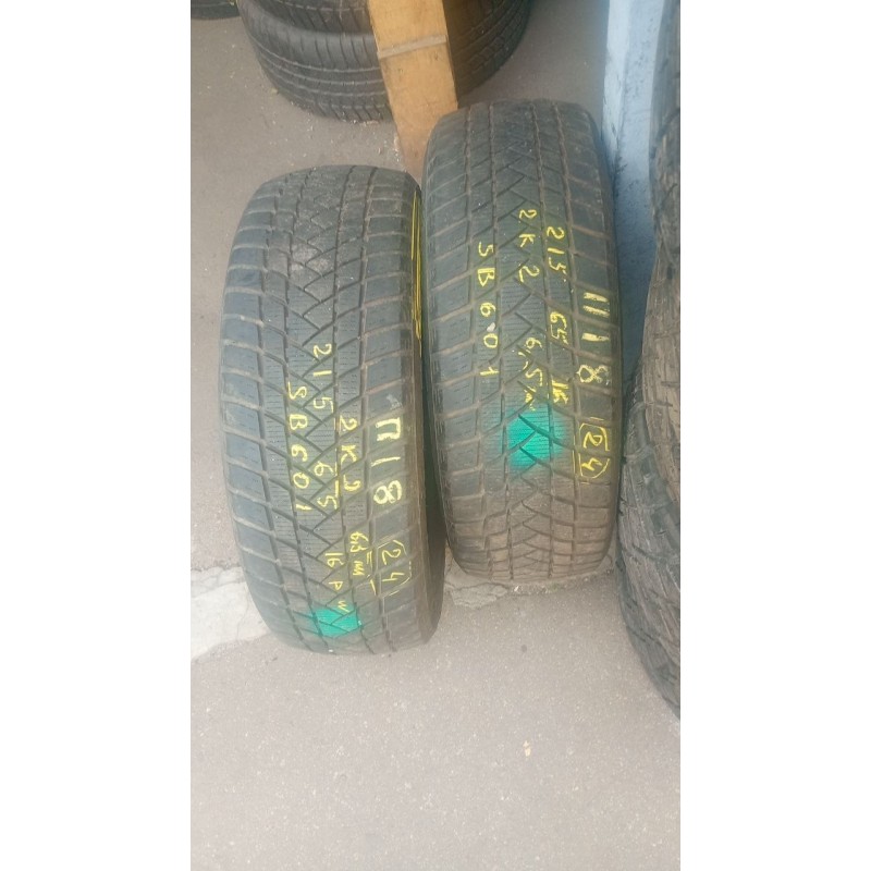 WinterPro 2 EVO