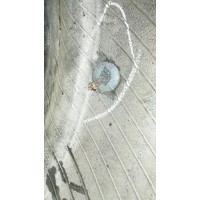 Michelin Latitude Sport 3 285/45 R19 111W XL Б.У. 5 мм