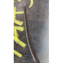 Bridgestone Battlax BT-020 180/55 R17 73W Б.У. 4 мм